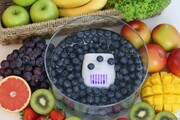 Food Cleaner DUO / 3.0 - 12